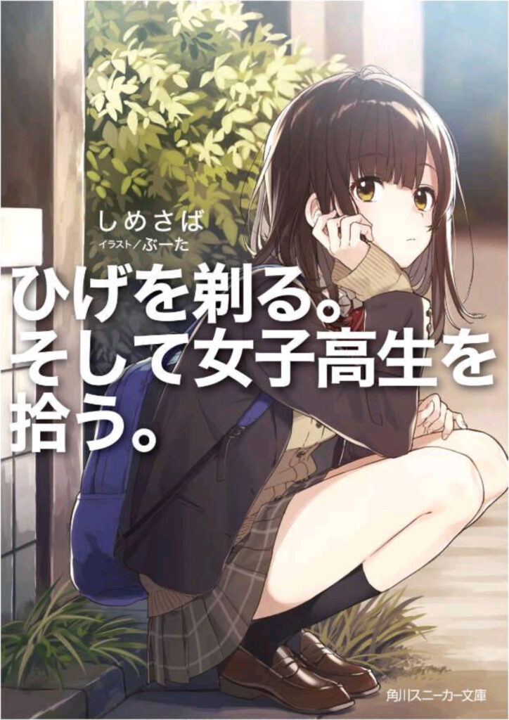 higehiro light novel ending - cover of the 1st volume