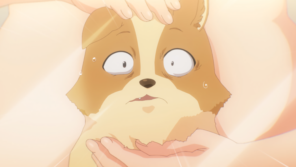 My Life as Inukai san's Dog episode 1 preview