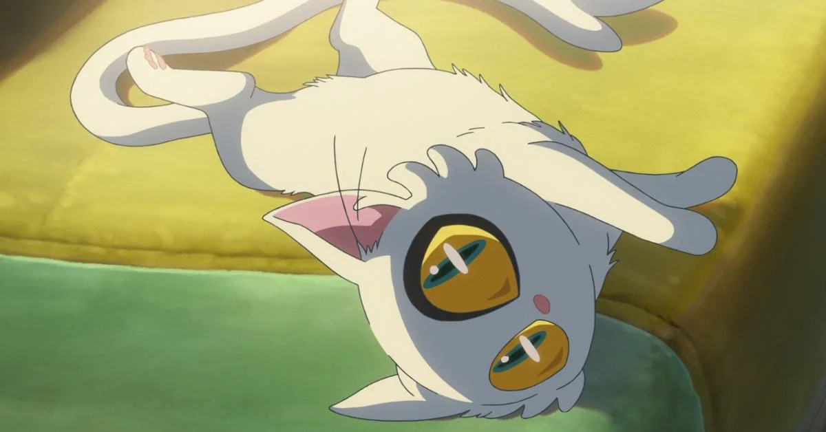 Makoto shinkai suzume daijin anime cat  feline fandom